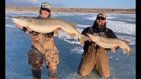 Saskatchewan Late Season Ice Fishing for Northern Pike. 7 Pike Over 40 ...