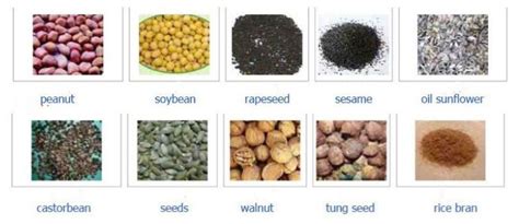 Oil Seeds Roller Frying Machinery Equipment Manufacturers and Suppliers - Htoilmachine.com