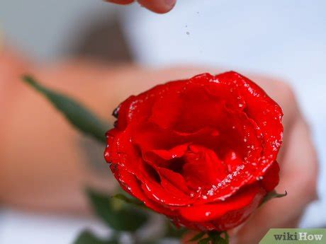 How to Sugar Flowers: 8 Steps (with Pictures) - wikiHow Life