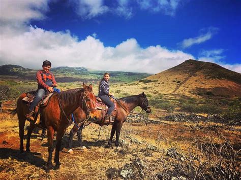 3 Cool Horseback Riding Tours in Maui