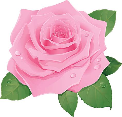 Cartoon Rose Svg