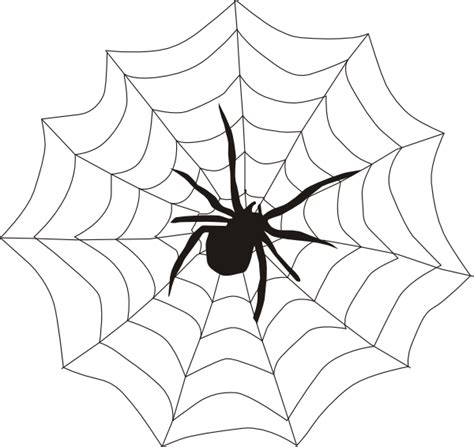 Spider Web Outline - ClipArt Best