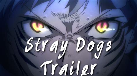 Bungou Stray Dogs Trailer-AMV - YouTube