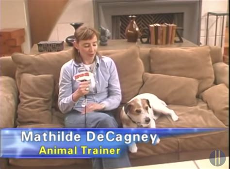 A Few Fun Facts About the Rescue Dog that Played Eddie on "Frasier ...