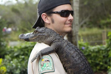 Miami, USA,12/29/2013, Show at Alligator Farm Crocodile Farm. Editorial Image - Image of park ...