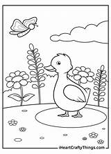 Duck Coloring Pages Updated 2021 sketch template