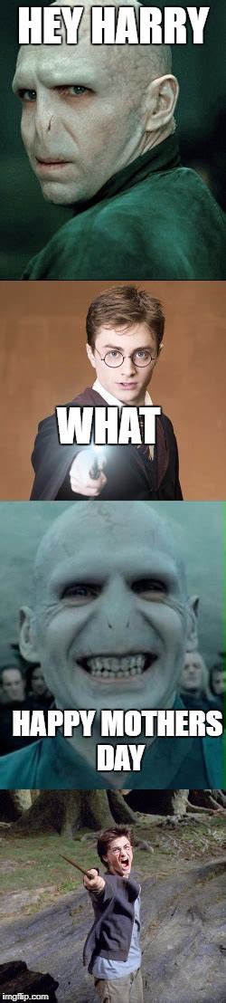 14+ Funny Memes About Harry Potter - Factory Memes