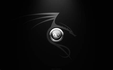 🔥 [120+] Dragon Yin Yang Wallpapers | WallpaperSafari