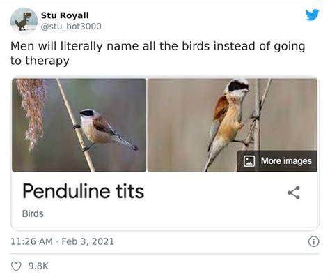 Weird Bird Species Names (28 pics)