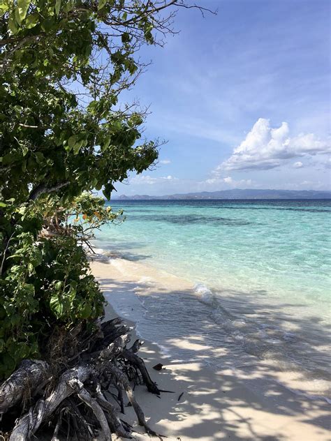 Kanawa Island, phenomenal beaches in the Komodo National Park archipelago [OC] [1242x1656] : r ...