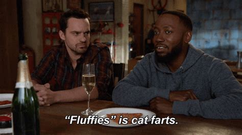 Cat Farts GIFs - Get the best GIF on GIPHY