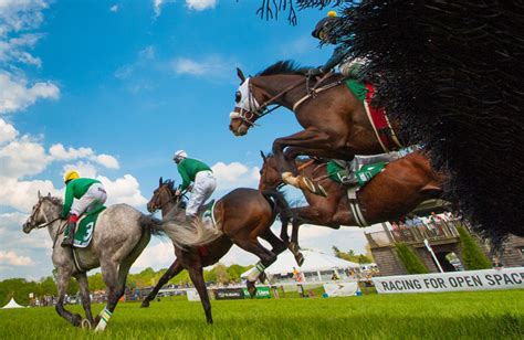 Steeplechase is Back - County Lines Online