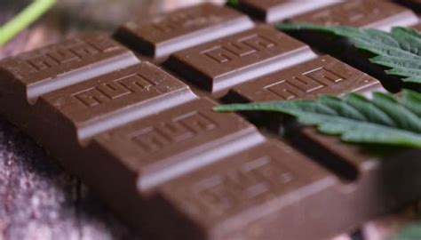 All You Need to Know About CBD Chocolate and Why You Need It - Healthgk