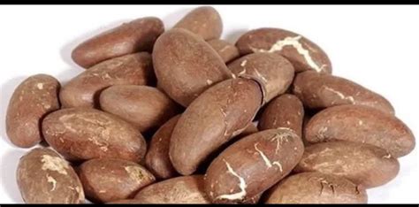 Bitter Kola Nut Garcinia Kola Cola 1 Lb- Buy Online in United Arab Emirates at desertcart.ae ...