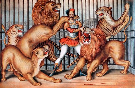 Lion Tamer, Circus Animal by Universal History Archive