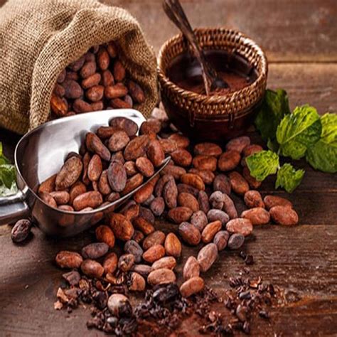 Cocoa Beans - SOVIMEX CO.,LTD