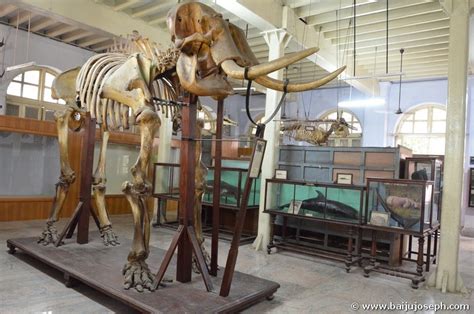 The Home of Nostalgic Moments: Government Museum, Chennai, India - Part 1