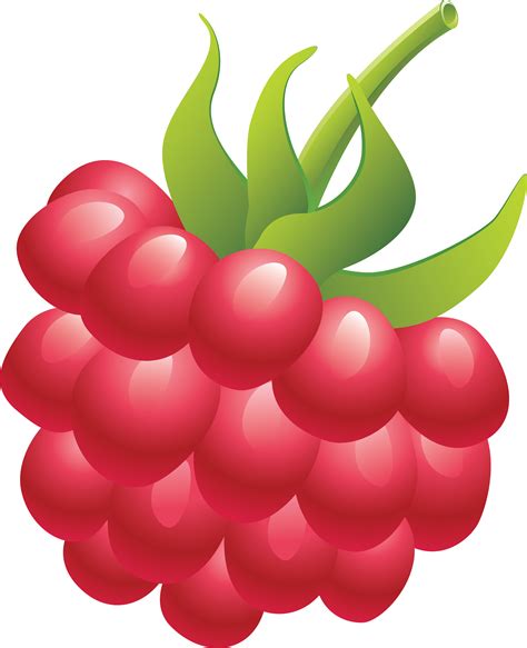 Raspberry Clipart Png – Raspberry