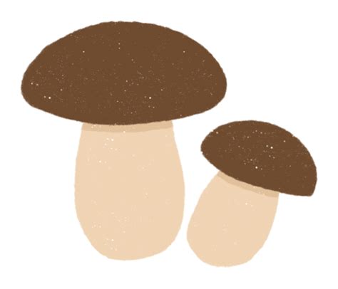 two brown mushrooms sitting on top of each other