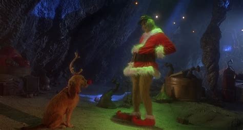 Dogs in Christmas Movies - Beckett Foundation