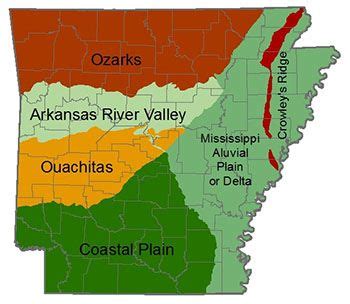 Arkansas Forestry Resources - Cooperative Extension Service | Mountain home arkansas, Arkansas ...
