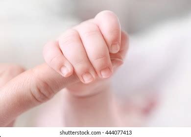 Child Hand Holding Parent Hand Closeup Stock Photo 444077413 | Shutterstock