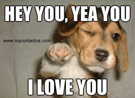 Hey You, Yeah You... I Love You!...You know who you are... | Funny animal memes, Puppies funny ...