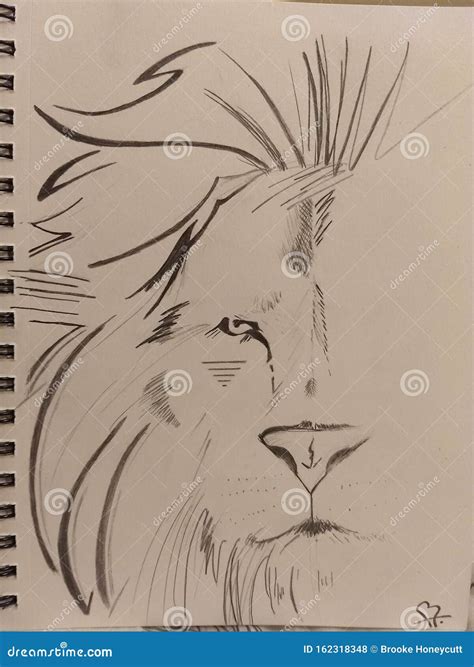 Abstract Lion Drawing