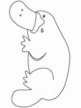 Australian Animals Coloring Australia Colouring Pages Kids Emu Animal  sketch template