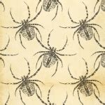 Creepy Spiders Free Stock Photo - Public Domain Pictures