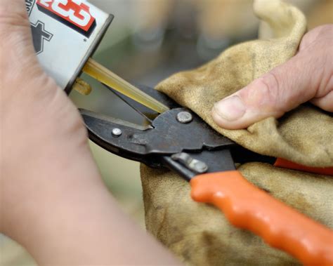 How to clean pruning shears: keep them in top condition | Gardeningetc