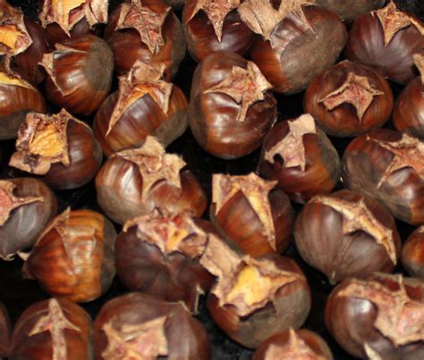 Can You Eat Water Chestnut Raw?