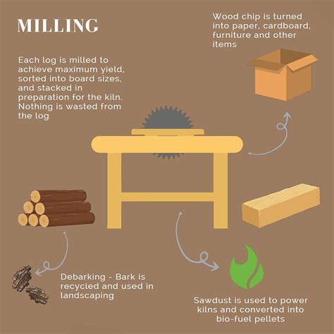 Timber Production Process