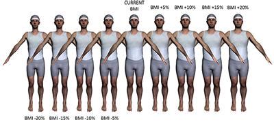 Frontiers | Visual Perception and Evaluation of Photo-Realistic Self ...