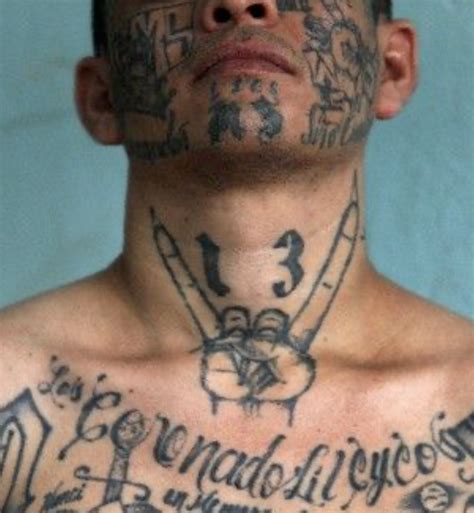 Discover La Mara Salvatrucha Tattoos | Roll and Feel