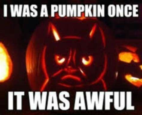 Grumpy /Pumpkin | Funny grumpy cat memes, Grumpy cat humor, Halloween memes
