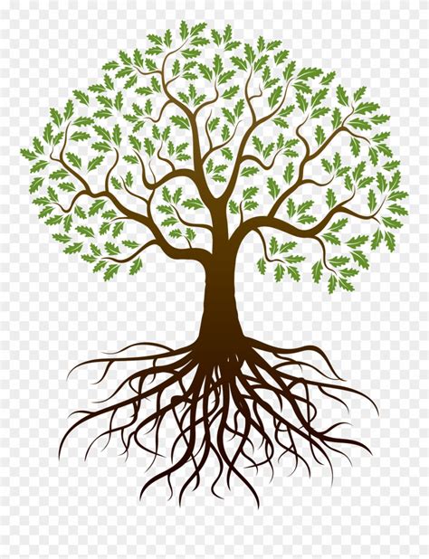 Free Tree With Roots Clipart, Download Free Tree With Roots Clipart png ...