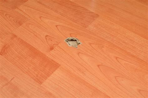 Laminate Flooring Warping Repair – Clsa Flooring Guide