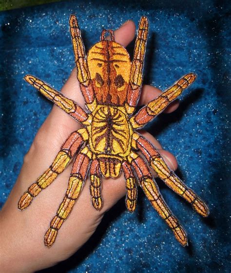 AWESOME OBT Pterinochilus Murinus Orange Baboon Tarantula Spider Iron on Patch Applique Mombasa ...