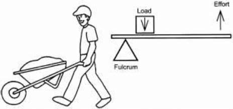 Examples of a Second-Class Lever | Download Scientific Diagram