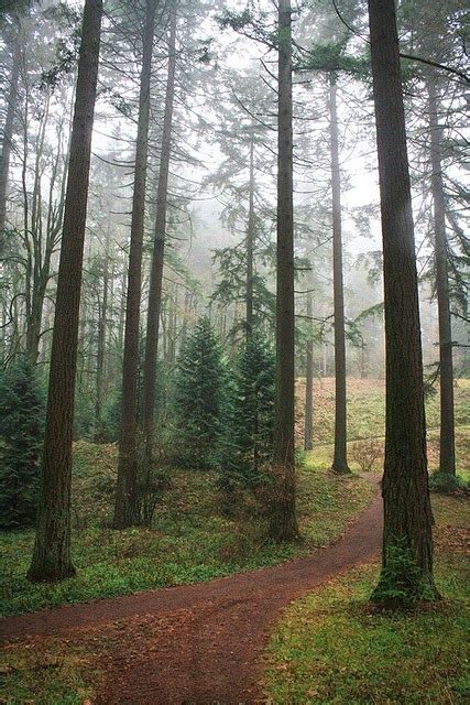 Forest Park, Portland | Beauty and Fashion lover