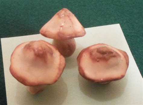 FAIRY GARDEN MUSHROOMS Toadstools for Fairy Gardens Fairy - Etsy