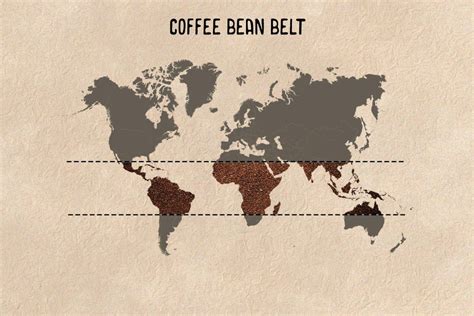 Coffee Bean Belt - | Definition in the Coffee Dictionary