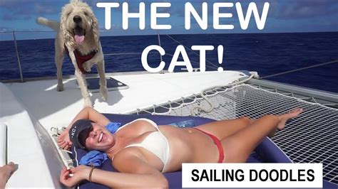 SAILING THE NEW CATAMARAN! - Sailing Doodles Episode 38 - YouTube