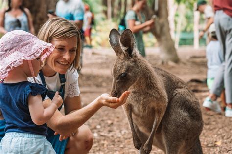 Your Guide to Exploring Australia Zoo | Queensland