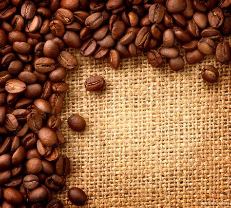 Coffee Beans Wallpaper download - Coffee HD Wallpaper - Appraw