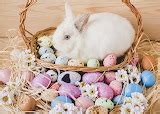 chrispuzzle - Easter - Easter Bunny Basket
