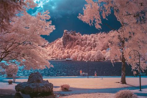 Infrared Nature Photography – Fubiz Media