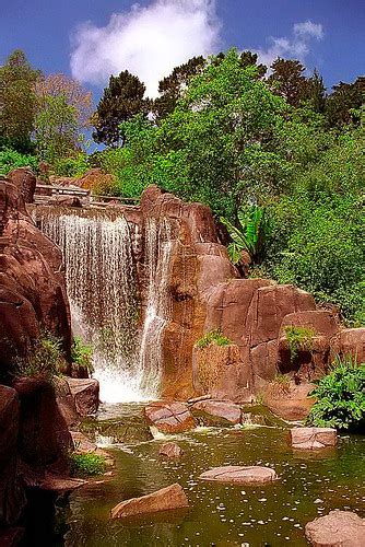 San Francisco - Golden Gate Park "Huntington Falls" | Flickr