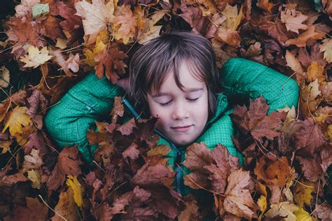 Gambar : pohon, orang-orang, daun, jatuh, bunga, Anak laki-laki, musim semi, sedang tidur, warna ...